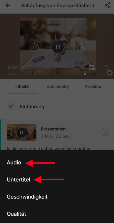 DE_audio_subs_app.png