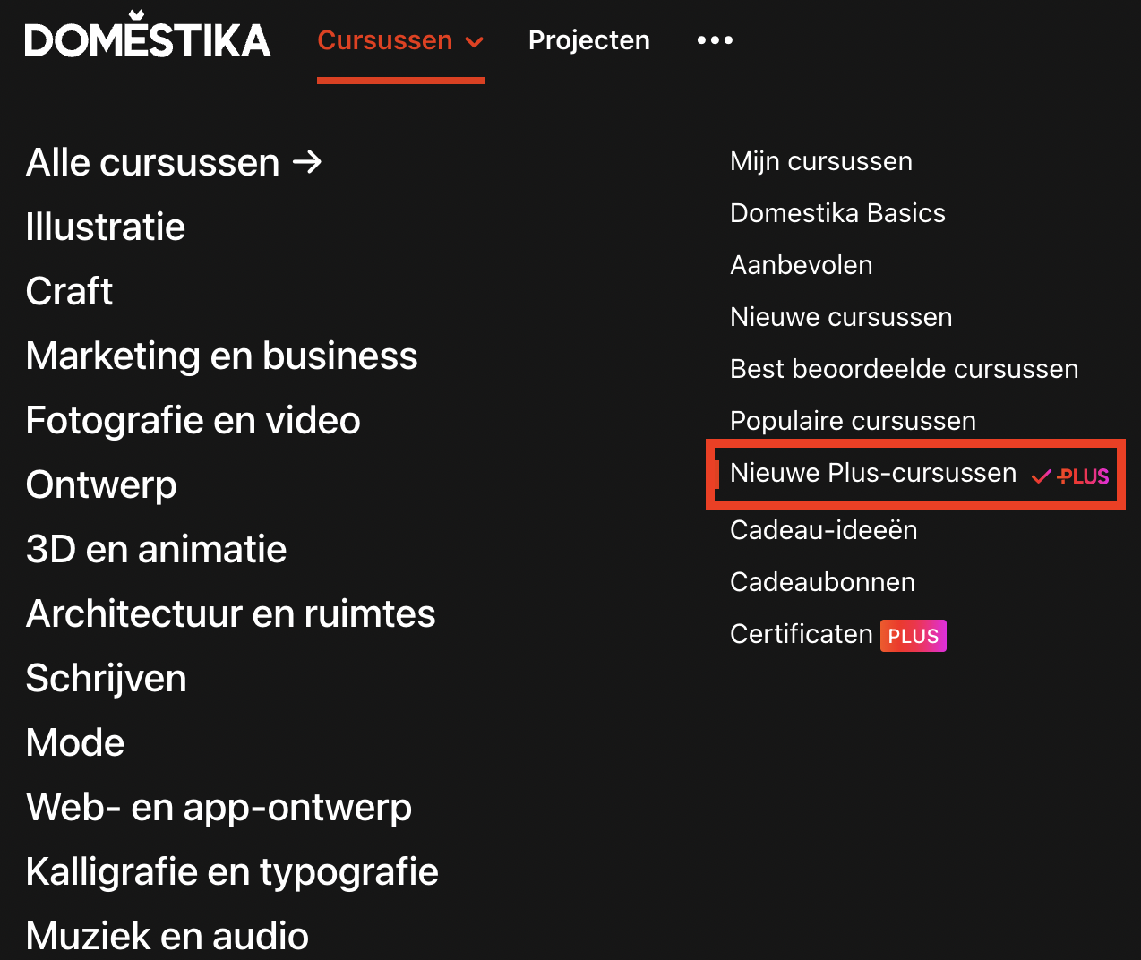 NL_new_Plus_courses_v2.png