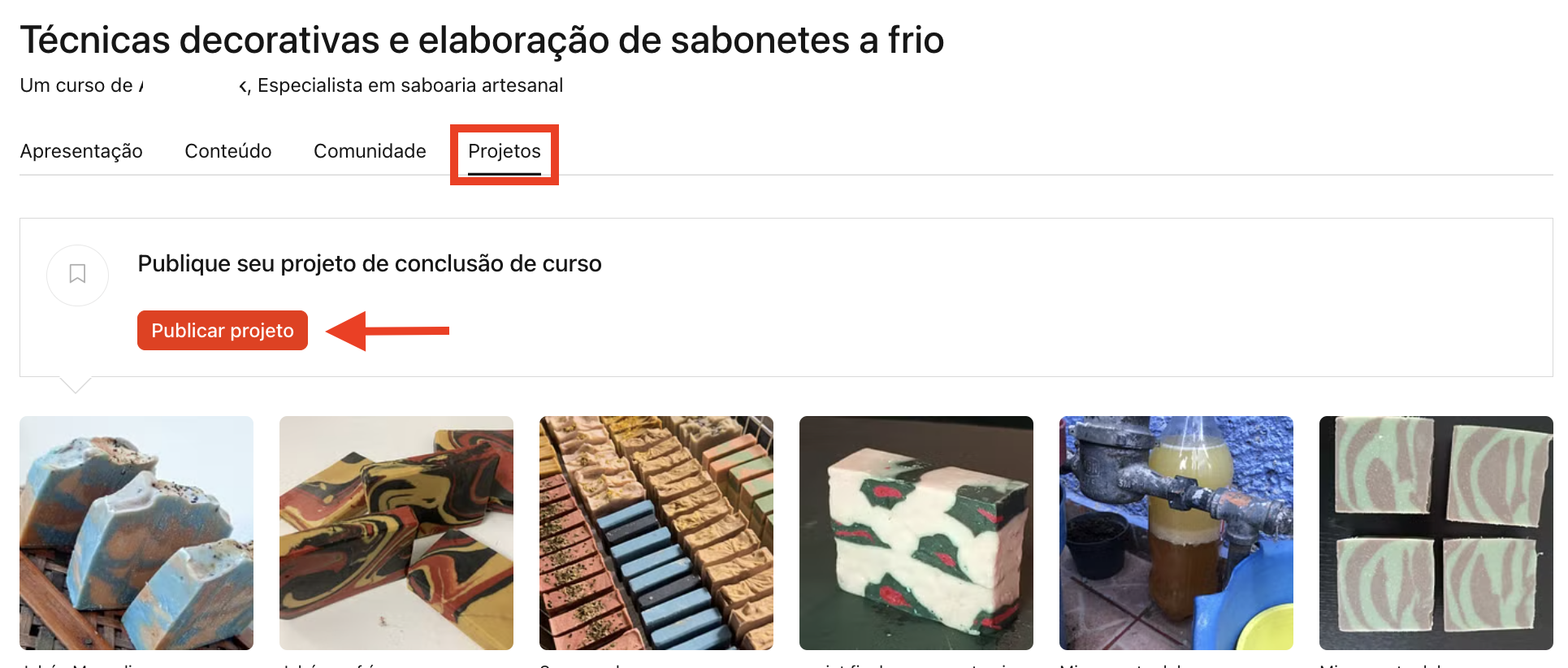 PT projects section.png