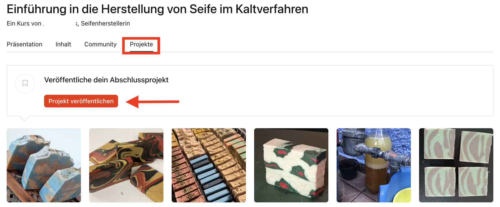 DE projects section.png
