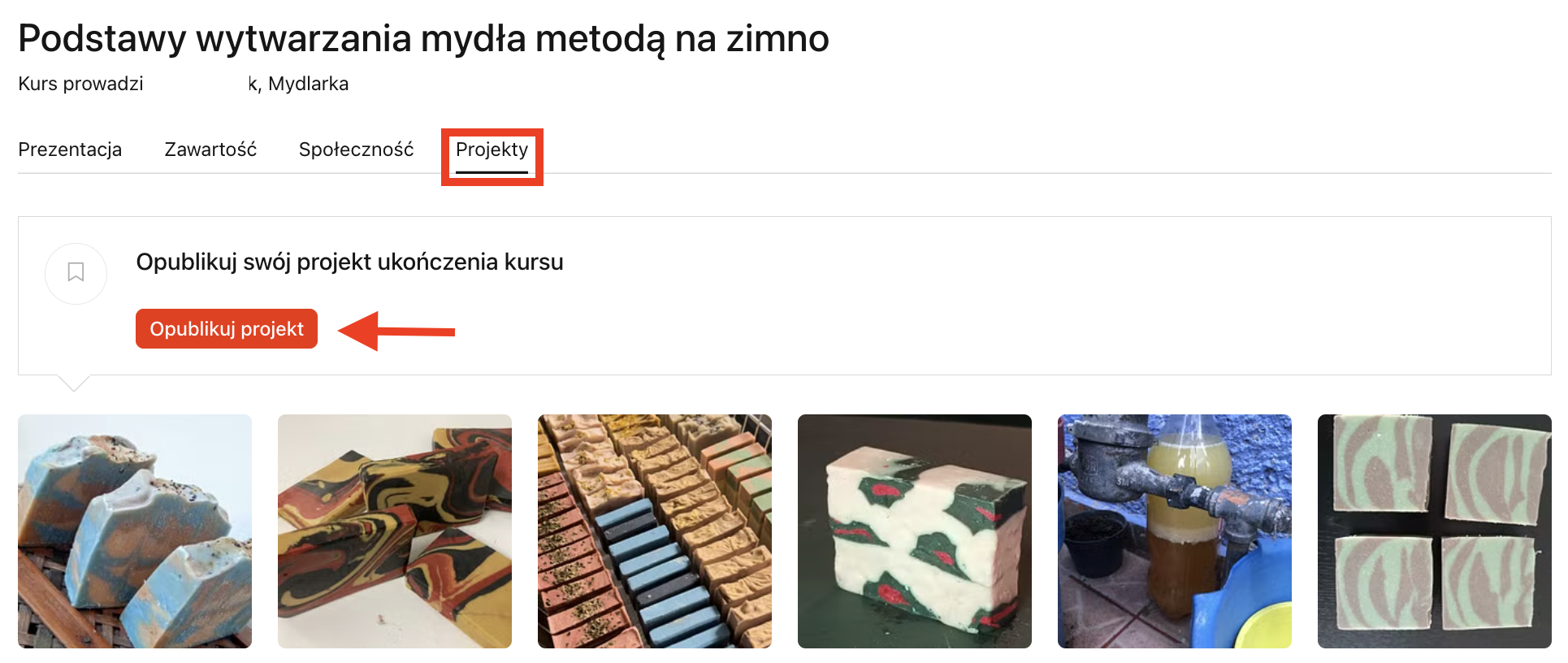 POL projects section.png