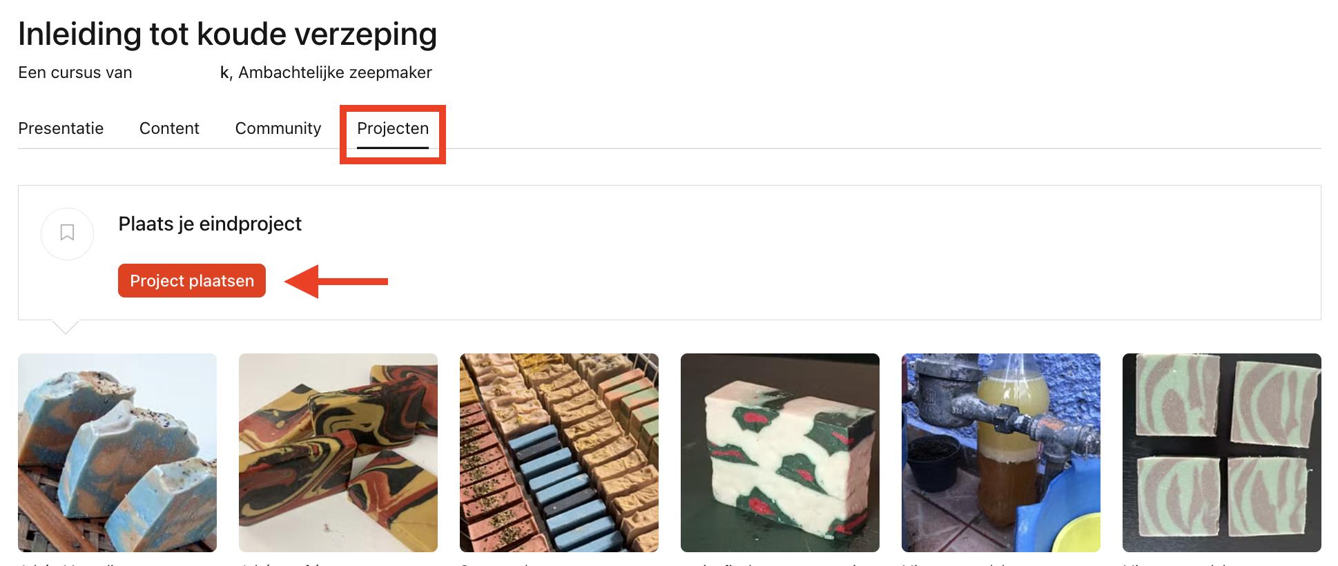 NEE projects section.png