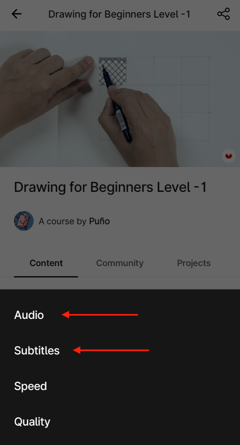 EN_Audio_subtitles_app.png