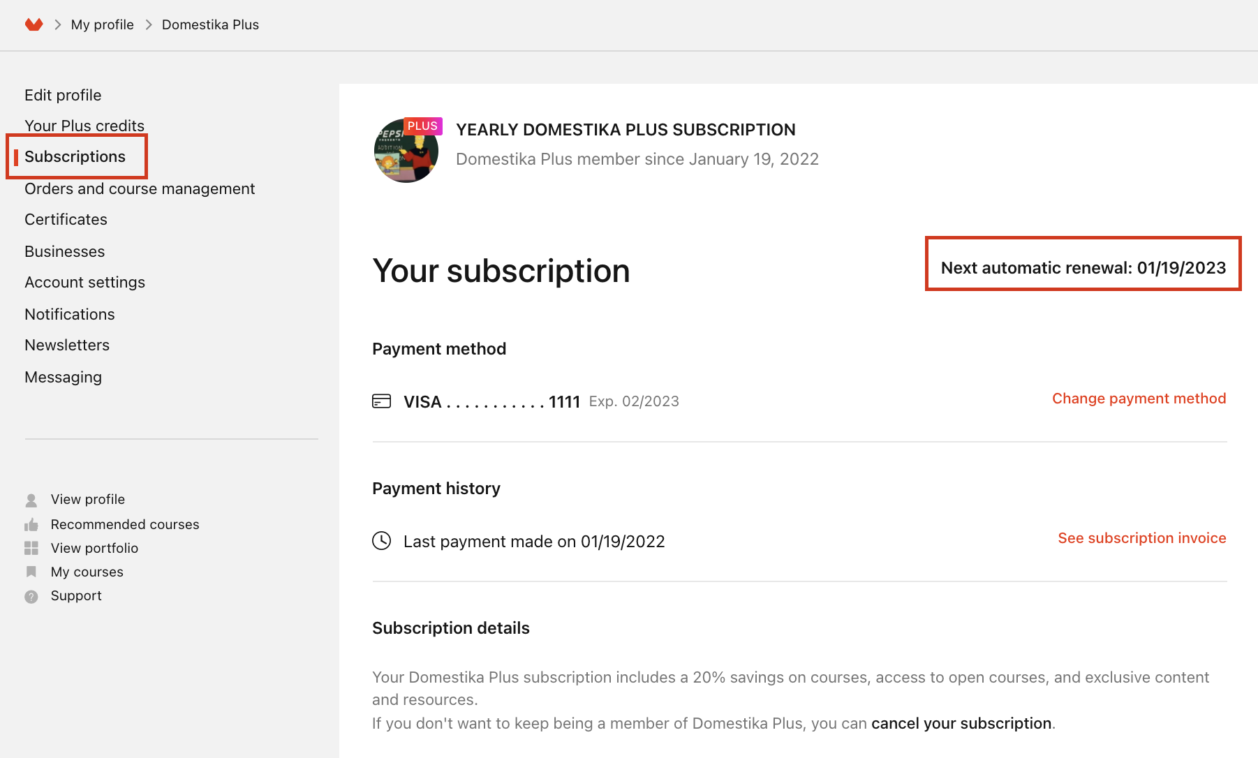 How is the Plus subscription renewed? – Domestika