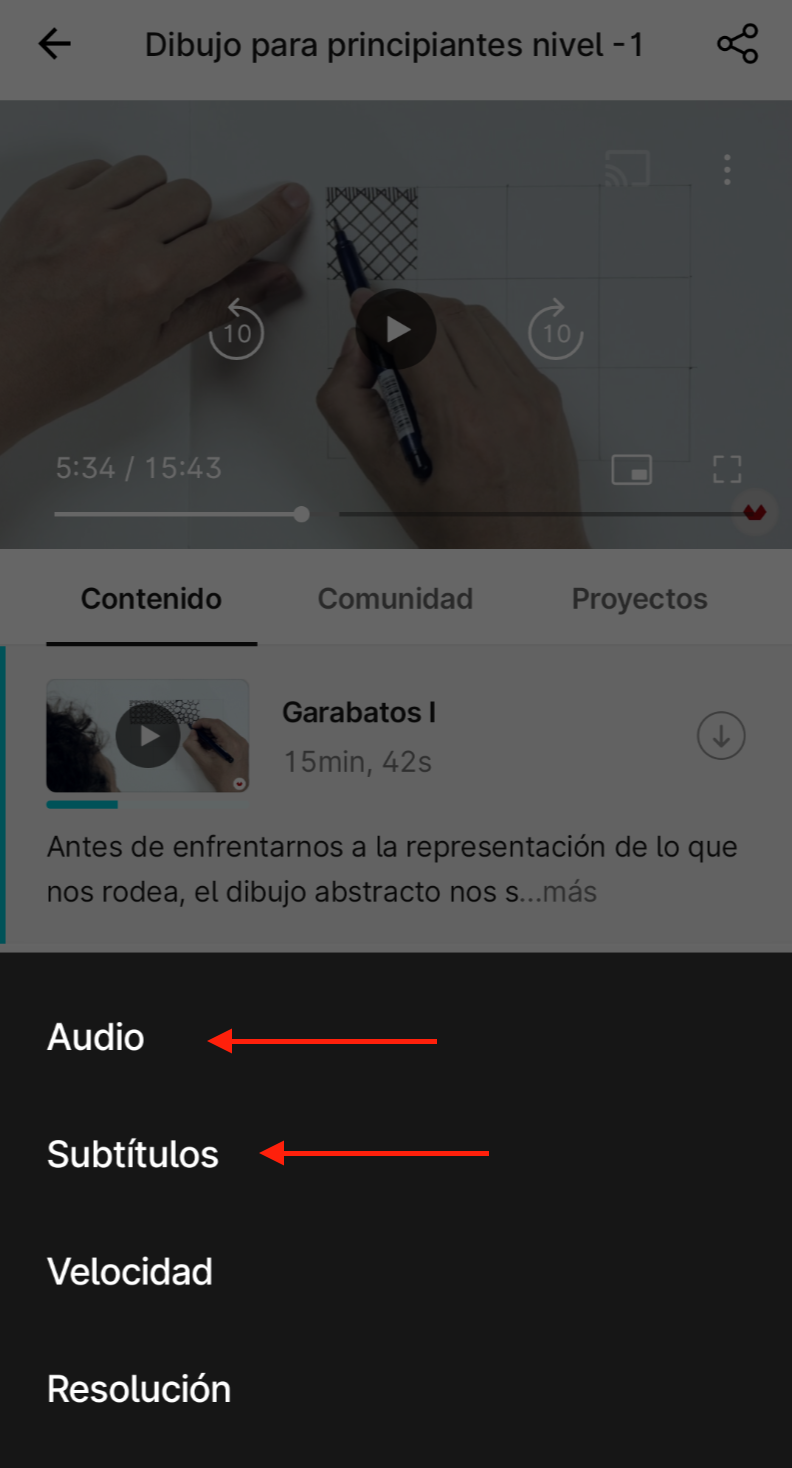 ES_Audio_subtitles_app.png