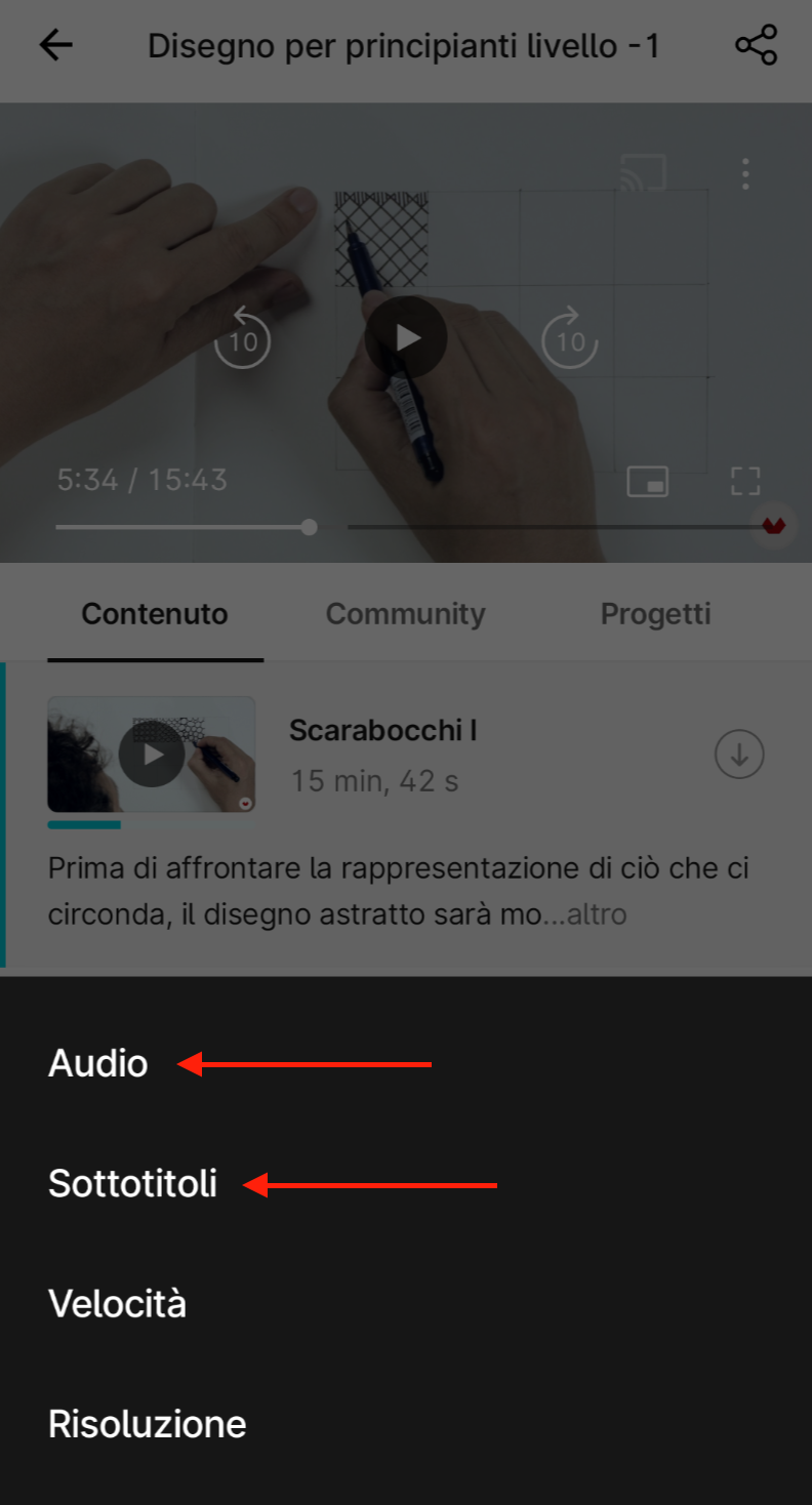 IT_Audio_subtitles_app.png