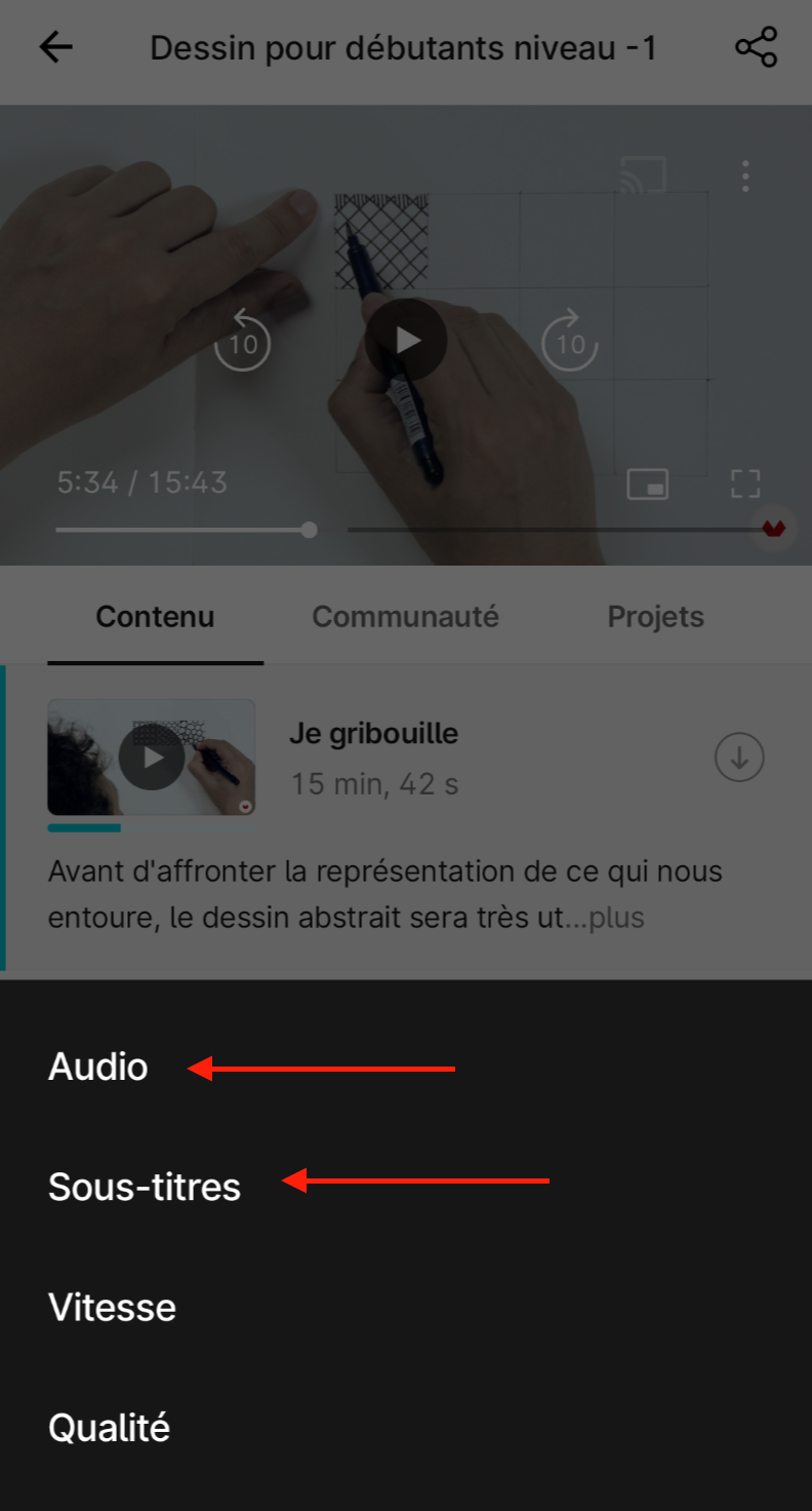 FR_Audio_subtitles_app.png