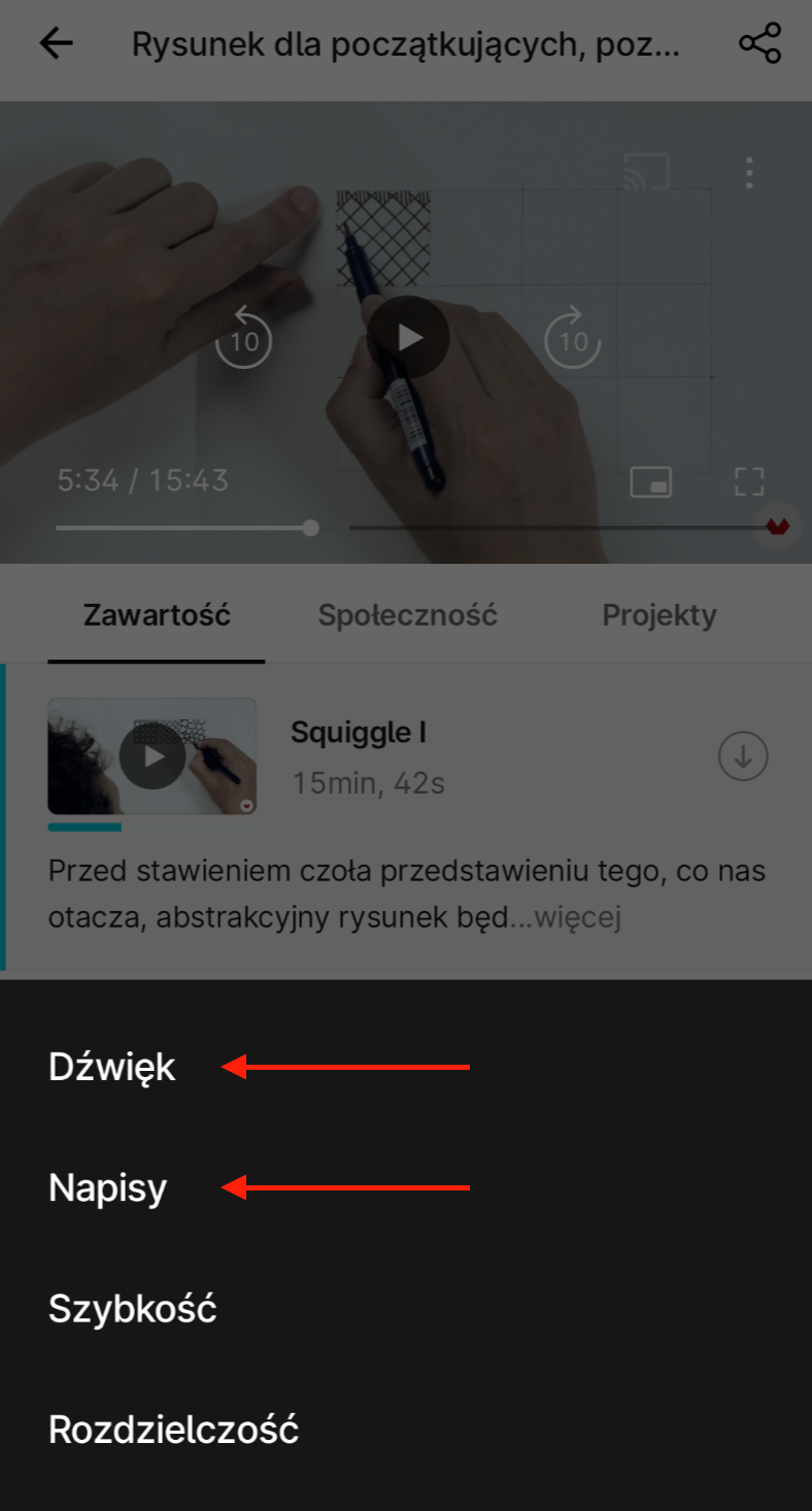 PL_Audio_subtitles_app.png